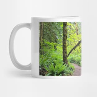 Squak Mountain State Park Mug